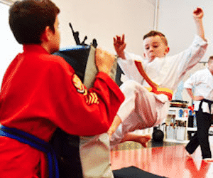 The Dynamics of Our Belt System at Safeguard Martial Arts in Langley