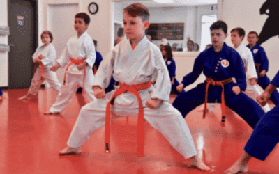Langley Junior Martial Arts: Helping Educate 5-12 Year Old’s Beyond a Skillset