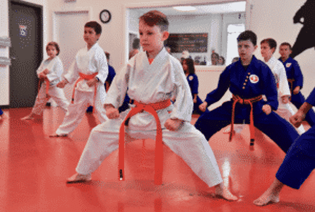 Langley Junior Martial Arts: Helping Educate 5-12 Year Old’s Beyond a Skillset